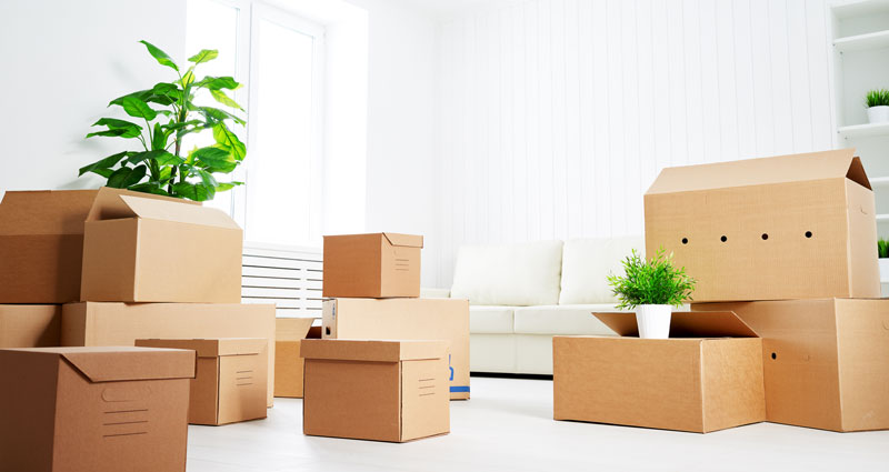 moving boxes on a table