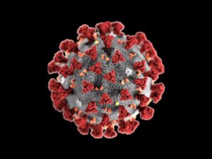 Covid-19 cell