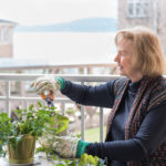 Resident pruning plant on her balcony