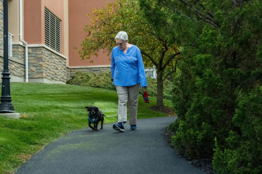 Resident of Kendal on Hudson walking dog
